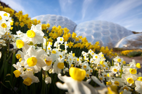 Kornwalia: Bilet wstępu do projektu Eden