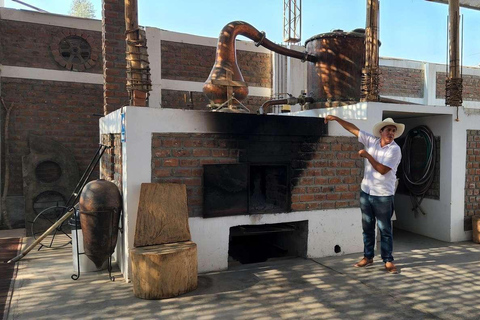 Full-Day Tour to Paracas, Vineyards and Huacachina