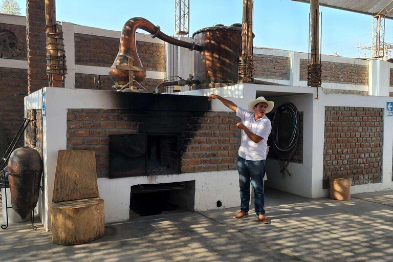 Full-Day Tour to Paracas, Vineyards and Huacachina