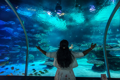 Doha Visit Hamad Port Aquarium- Museum with Private Transfer