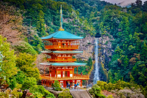 Wakayama: Mt. Koya & Hidden Nachi Falls Tour with Lunch