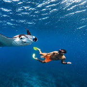 Bali/Nusa Penida: Private Snorkeling With Guide & West Tour