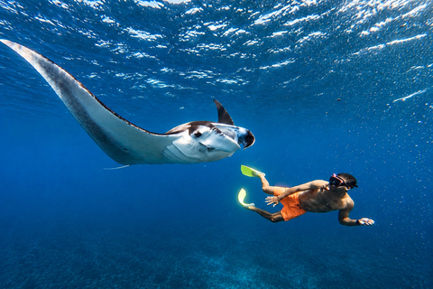 Bali/Nusa Penida: Private Snorkeling With Guide & West Tour Transfer from Uluwatu, Pecatu, Ubud, and Canggu Area