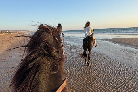 Taghazout: Private Horse Ride on Banana Beach with Pickup