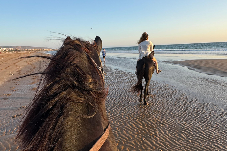 Taghazout: Private Horse Ride on Banana Beach with Pickup