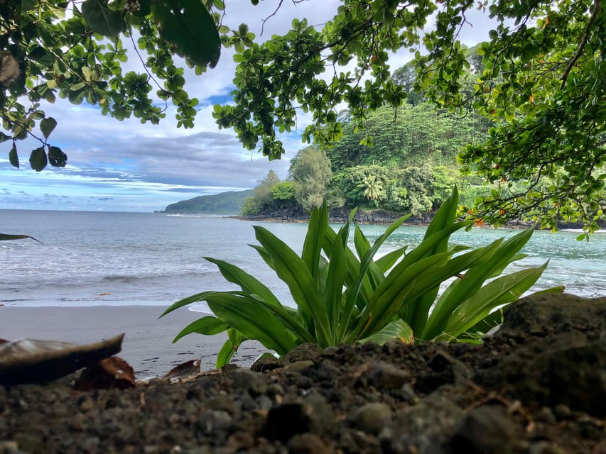 Tahiti : Visite d'une jounée de l'île Côte Est et Côte Ouest (journée complète)