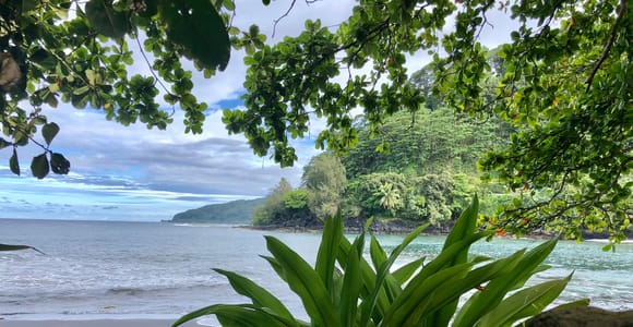 Tahiti : Tour de l’île Côte Est et Côte Ouest (Full Day)