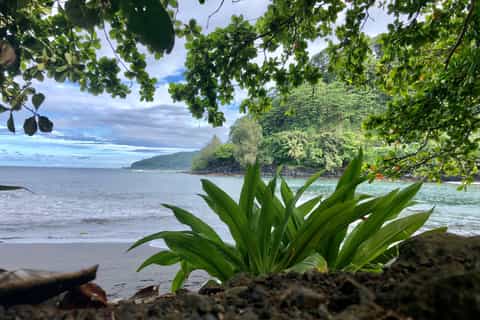 Tahiti : Visite d'une jounée de l'île Côte Est et Côte Ouest (journée complète)