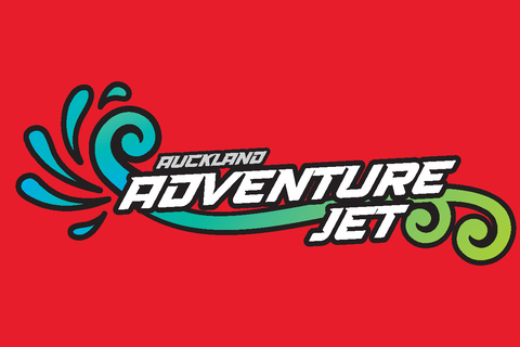 Auckland : sortie en bateau à moteur dans le port de WaitemataSortie en bateau à moteur dans le port d&#039;Auckland Waitemata