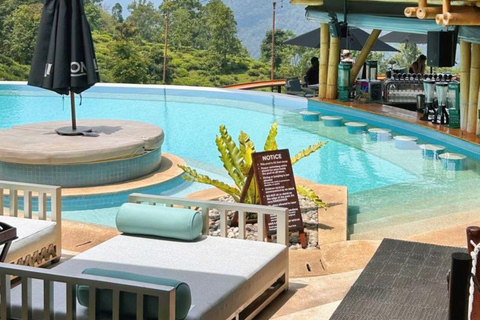 Ella: Ella Day Tour NineArch Bridge with Expert Female Guide Ella tour from Colombo, Negombo, Mt lavinia, Kalutara