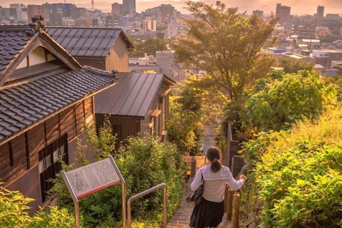 Nikko privé charter rondleiding met gidsVanuit Tokio: Nikko privé dagtour