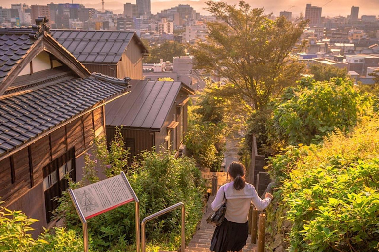 Visite touristique de Nikko en charter privé avec guideDepuis Tokyo : Nikko visite privée d'une journée