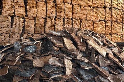 Lisbon: Évora (w/ Cathedral & Bones), Cartuxa & Cork Factory