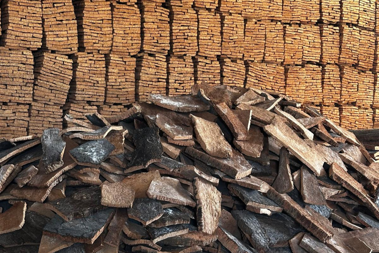 Lisbon: Évora (w/ Cathedral & Bones), Cartuxa & Cork Factory