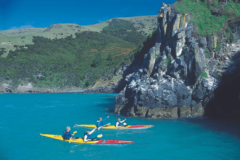 Christchurch: Akaroa Day Tour with Nature Cruise