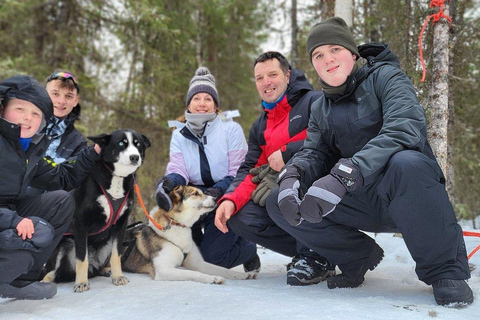 Levi: 5 Km Husky Sledding Ride in Levi