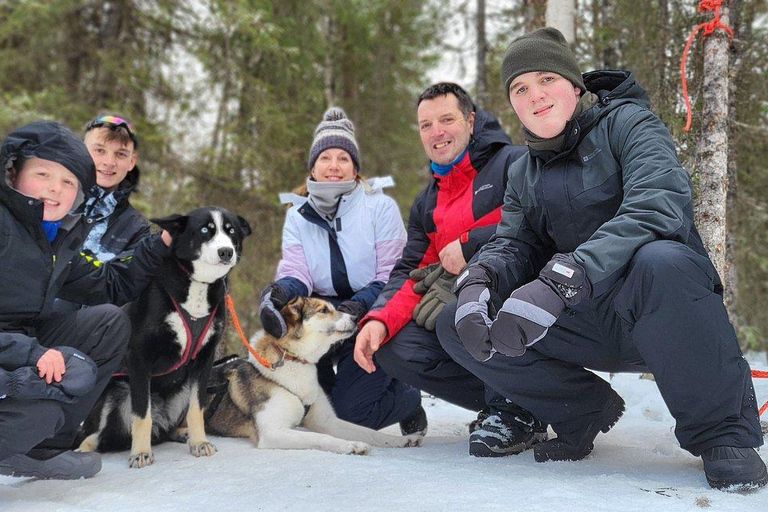 Levi: 5 Km Husky Sledding Ride in Levi