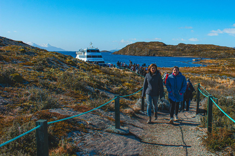 Ushuaia: Boat Trip to Isla Martillo: Penguins in the Beagle Channel Ushuaia: Navigation to Martillo Island: Penguins along the Beagle Channel