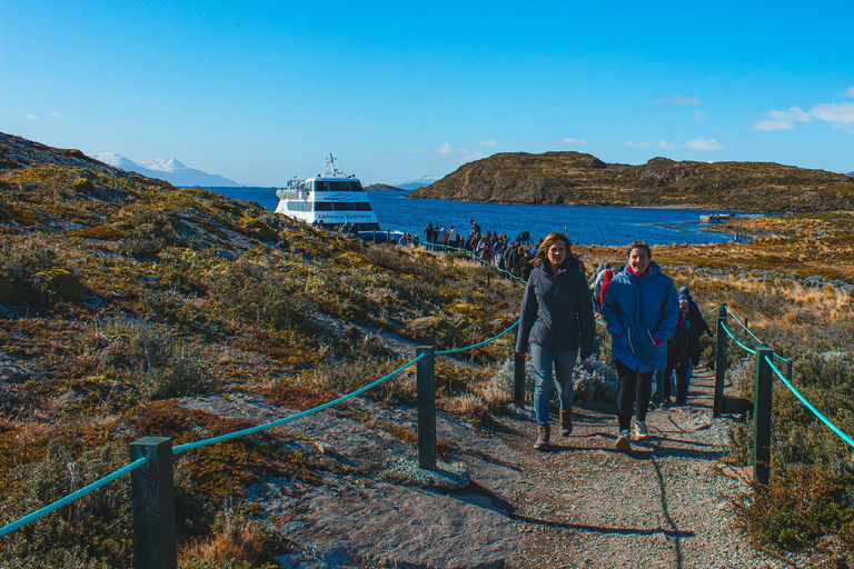 Ushuaia: Boat Trip to Isla Martillo: Penguins in the Beagle Channel Ushuaia: Navigation to Martillo Island: Penguins along the Beagle Channel