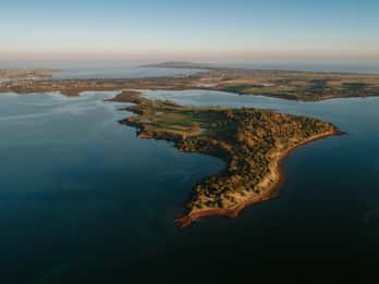 Melbourne: Penguin Parade & Churchill Island Farm Tour