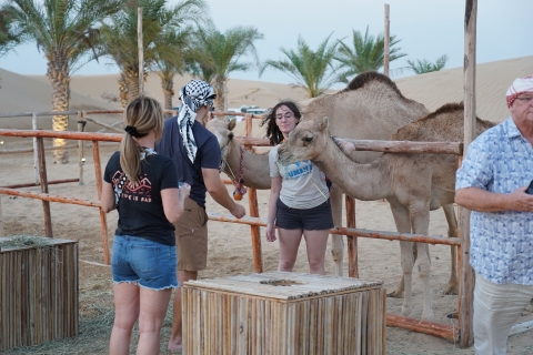 Dubai: Premium Red Dunes, Camel Safari, & BBQ at Al Khayma Shared Tour