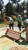 Toadbatu Panorama Walking Tour + Camping in the Forest - Housity