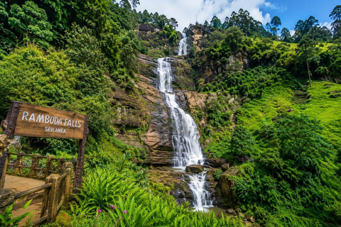 Kandy to Nanu Oya Drop: Tea Tour with Ella Train Tickets Kandy to Nanu Oya Drop: with Ella Train Tickets by Car