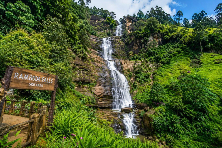 Kandy to Nanu Oya Drop: Tea Tour with Ella Train Tickets Kandy to Nanu Oya Drop: with Ella Train Tickets by Car