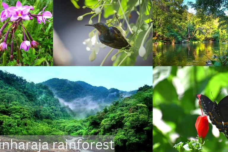 Sri Lanka: 12-dagars naturskön äventyrsresa