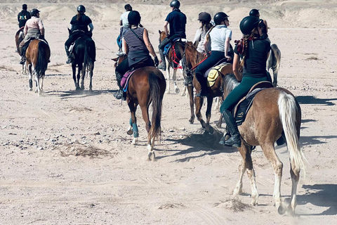 الغردقة: جولة ركوب الخيل في الصحراء والبحر مع خيار السباحةجولة لمدة ساعتين لركوب الخيل بدون السباح