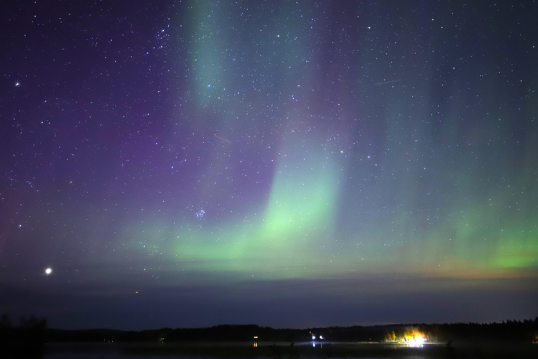 Rovaniemi: Aurora Hunting Photography Tour(98% Success Rate)