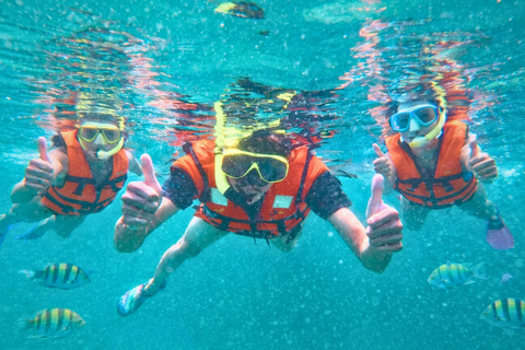 Krabi: Phi Phi Islands Speedboat Premium Tour with Lunch Phi Phi Islands Premium Join Tour by Speedboat with Lunch