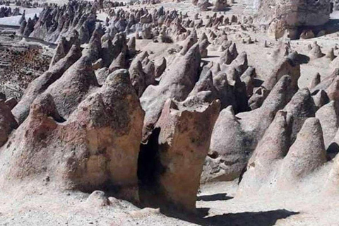 Full Day Pillones Waterfall and Rock Forest