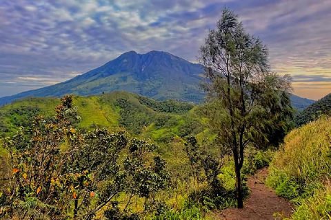 Mount Merbabu or Mount Sumbing Sunrise Hike with Guide Mount Merbabu Sunrise Hike with Guide