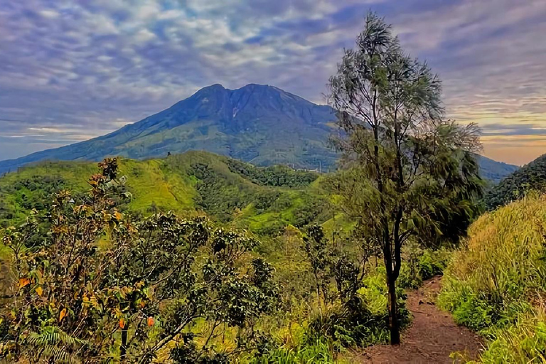 Mount Merbabu or Mount Sumbing Sunrise Hike with Guide Mount Merbabu Sunrise Hike with Guide