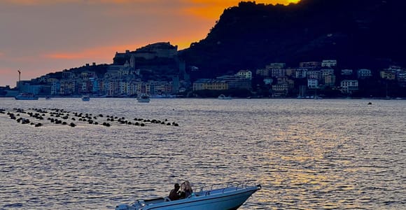 Porto venere and Cinque Terre : boat tour with aperitif and lunch