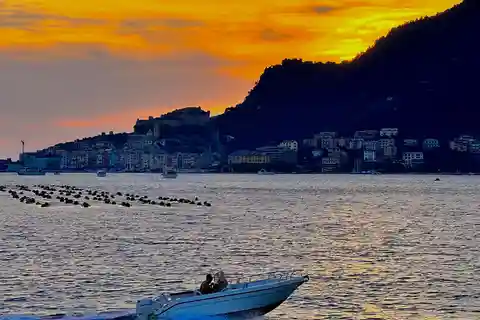Porto venere e Cinque Terre : tour in barca con aperitivo e pranzo