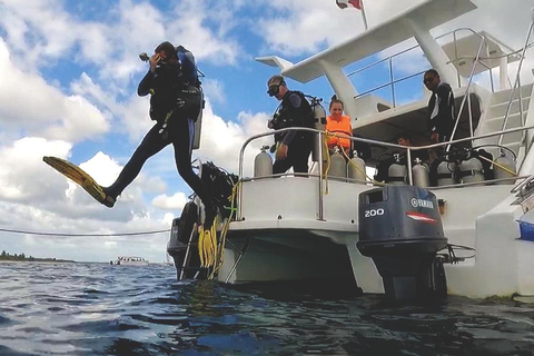 Buceo en la Isla Catalina: 2 botellas - 2 puntos