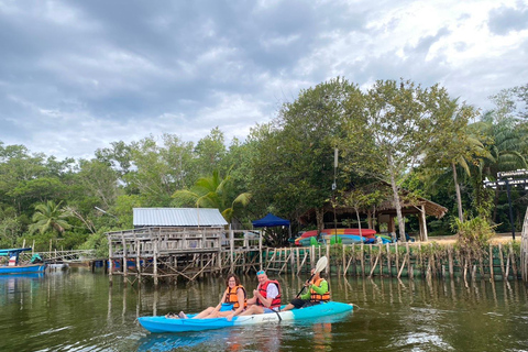 Khao Lak: Three Waters—Mangroves, Turtles, Waterfall