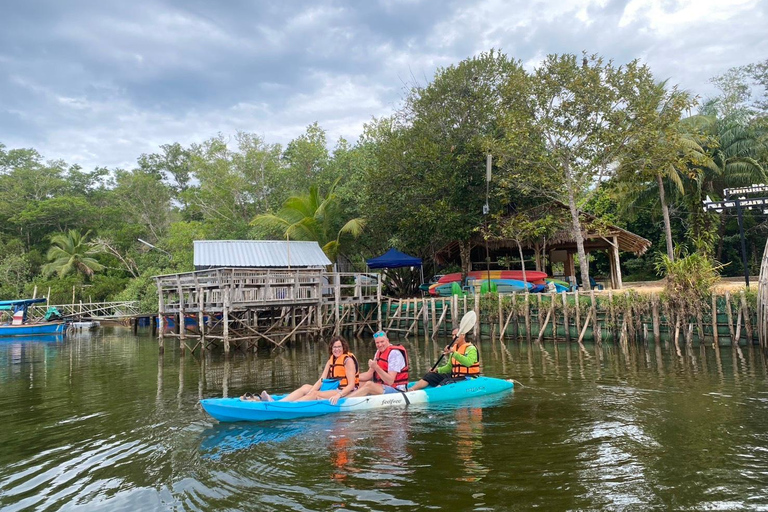 Khao Lak: Three Waters—Mangroves, Turtles, Waterfall