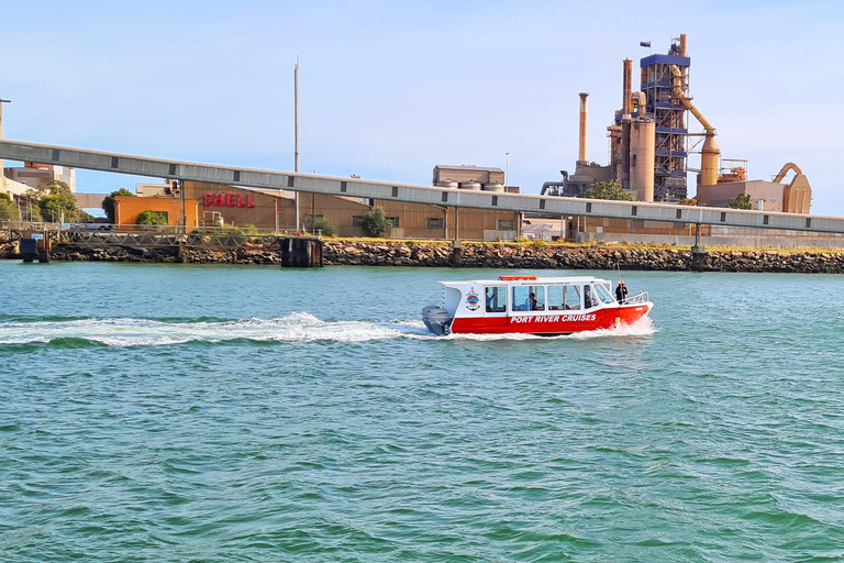 Port Adelaide: Dolphin and Maritime Cruise