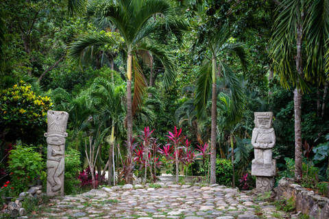 Santa Marta: Taironaka Indigenous Tour