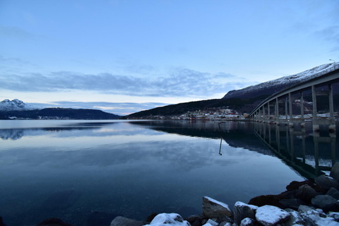 Abisko: Private Fjord Sightseeing and Photography tour