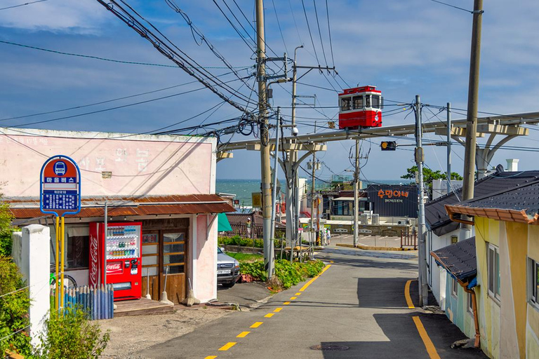 Busan & Gyeongju Highlights 2 Days Combo Tour from Busan