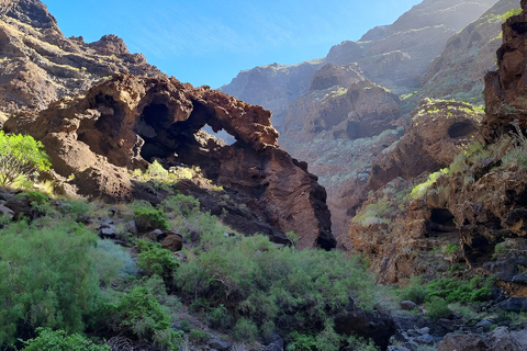 Sentier des gorges de Masca : Randonnée guidée