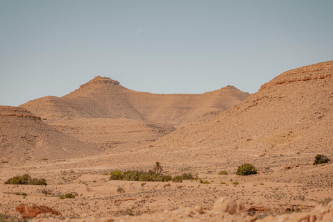 Tataouine, Chenini & Djerba Tour: The Must-Sees in a Day Tour: Tataouine, Chenini & Djerba Tour: The Must-Sees in a Day