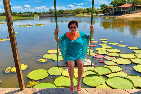 Jari Canal and Flavors of Vitória-Régia: Amazon River Experience