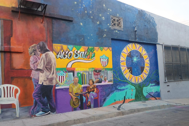 Walking sightseeing tour of Barranquilla Barranquilla Walking Sightseeing Tour