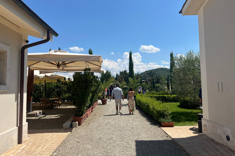 Florence: Pisa, Siena, & San Gimignano Day Trip with Lunch VIP SMALL GROUP