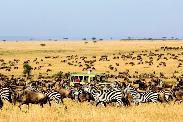 Kampala: Lake Mburo National Park 2-Day Safari Tour